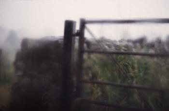 Abstract gate in the rain