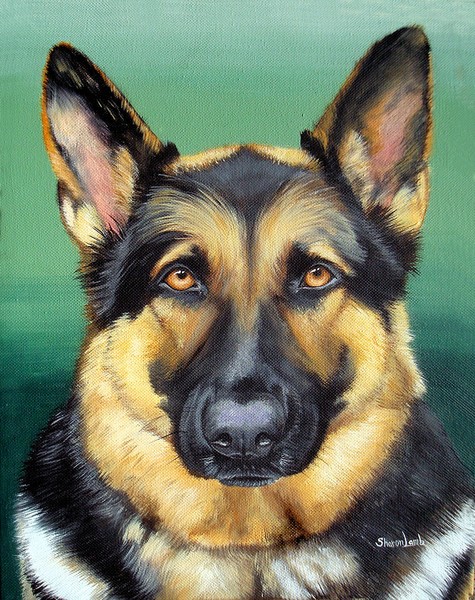 Commission Pet Portrait Painting Life Like Detail