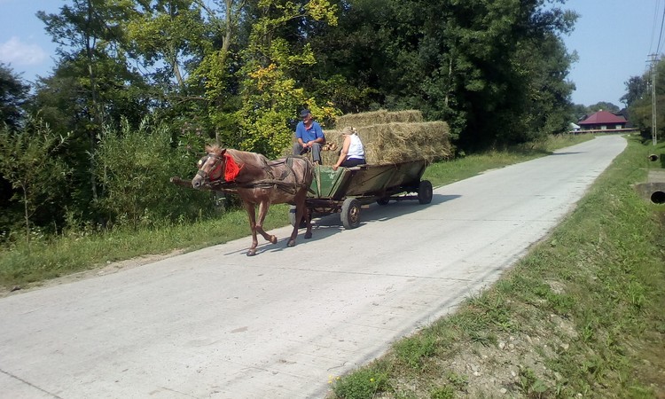 Peasants with horse carriage,Romania