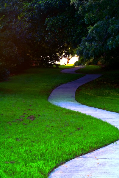 Pathway to the Light