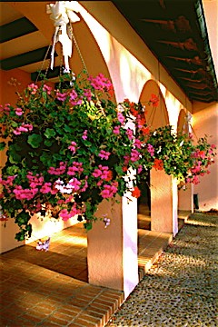 Hanging Flower Baskets?©2008, JDS