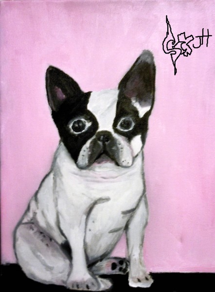 french bulldog