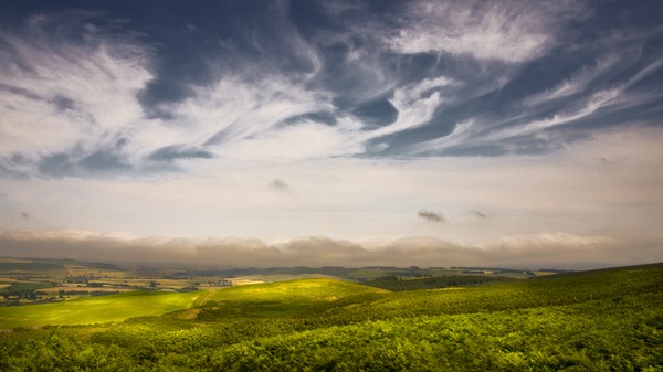 Northumberland Landscape