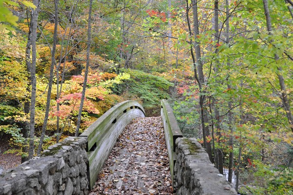 Bridge near Crabtree Falls, Nelson Co., VA