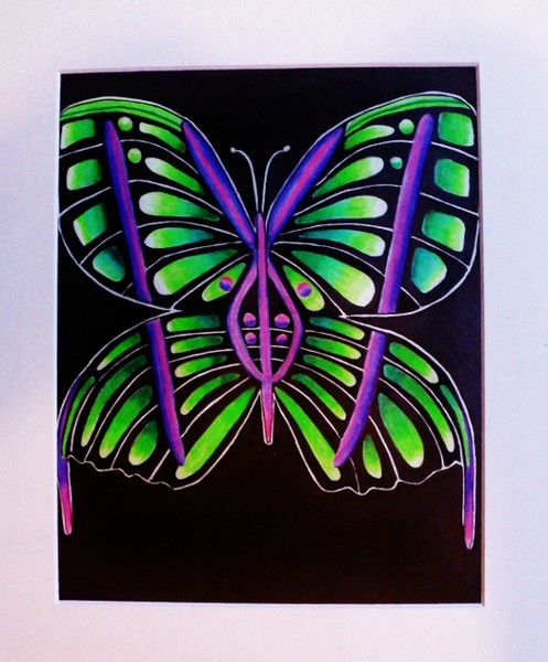 Butterfly 7  8x10 Print $12