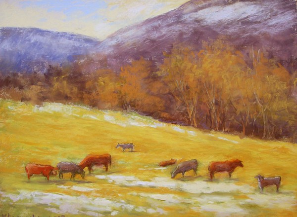 Cows on December day
