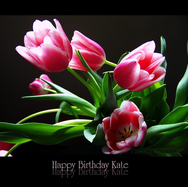 Happy Birthday Kate 