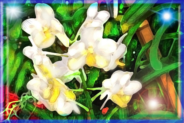 CLUSTER OF WHITE ORCHIDS IN ANOTHER GALAXY