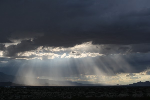 Raining Rays #1  (up close)