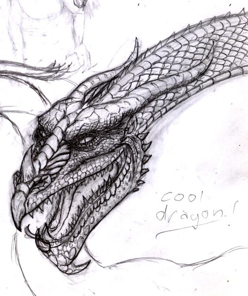 very cool dragon sketch