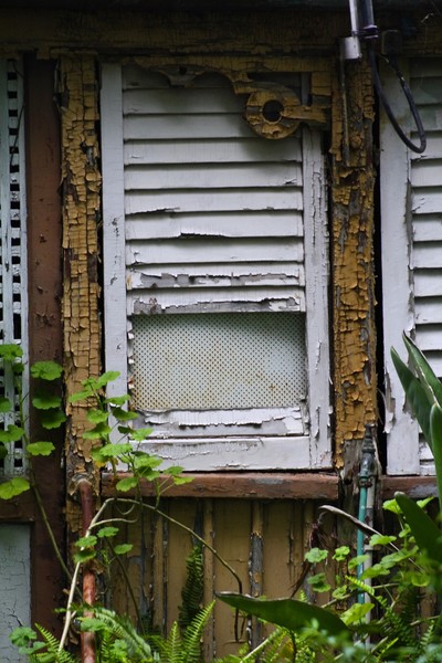 Weathered Window