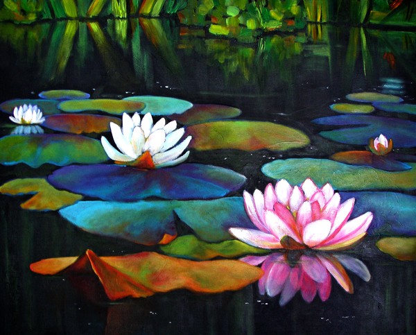 Lotus Pond 2 
