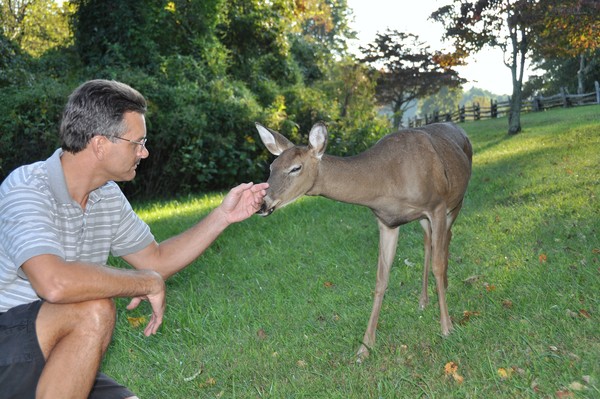 Friendly deer and Rick