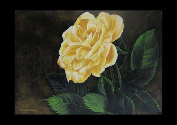 Gold Rose