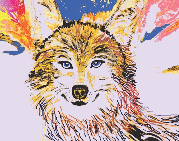 Colorful Wolf