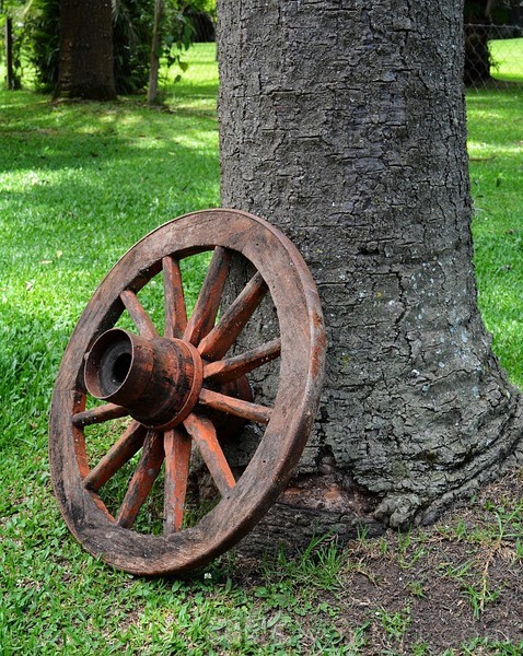 old fashion wheel