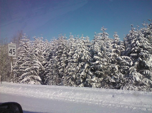 Oregon Snow 2