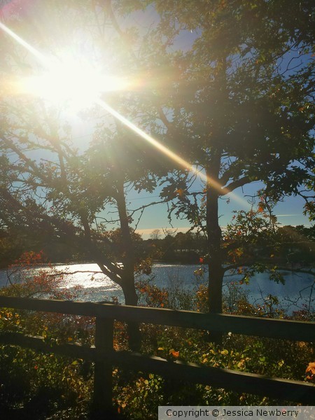 Cape Cod Rail Trail