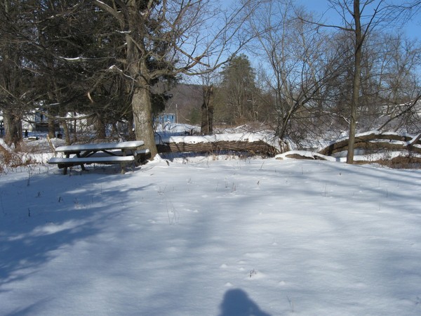 winter of 2009