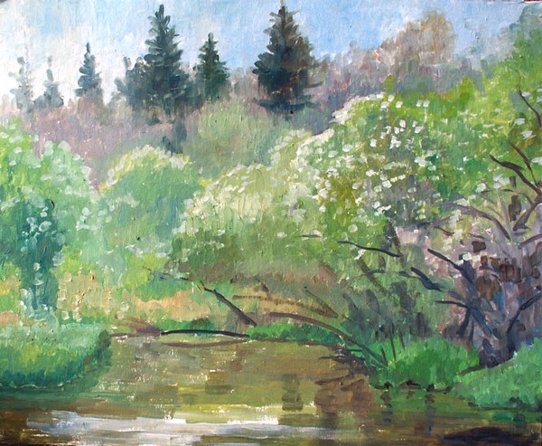 Wood river and blooming bird cherry