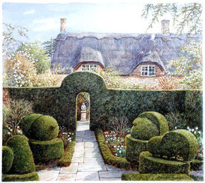 Hidcote Topiary