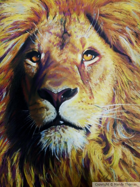 LION KING by Mandy Thomas