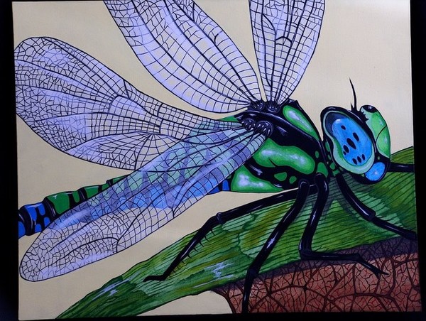 blue green dragon fly