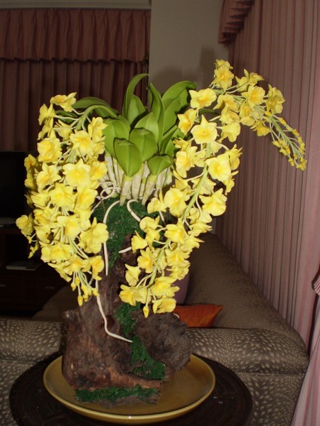 'Den. Lindleyi' Orchid