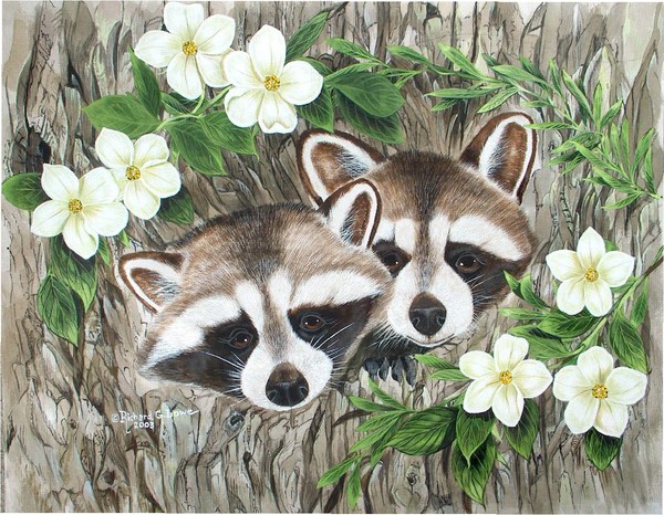 young raccoons in tree
