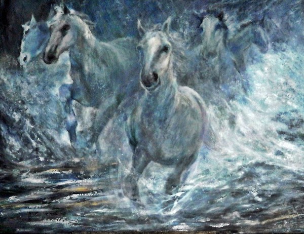 Running horses in water