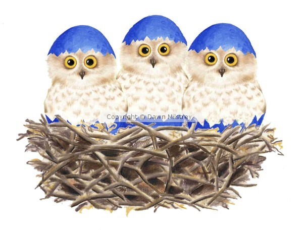 Three In A Nest