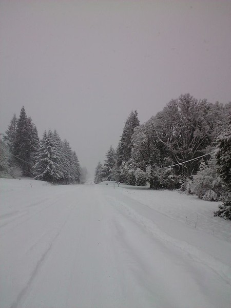 Oregon Snow 1