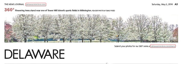 165th NewsJournal Panorama-Tower Hill White Trees