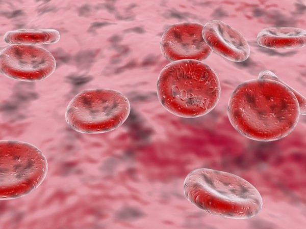 Red Blood Cells