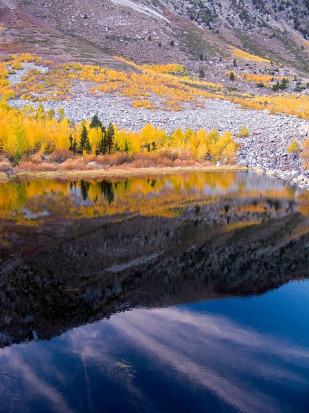 Pond Reflections 2