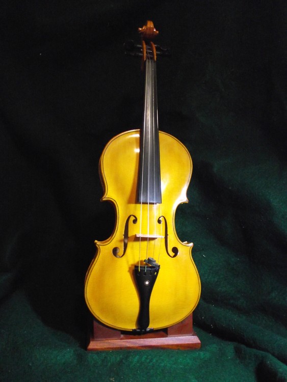 violin 2017