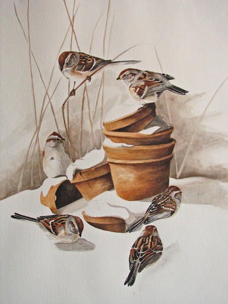 Tree sparrows and pots