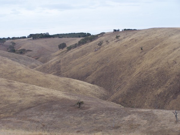 View of Delabole hill.
