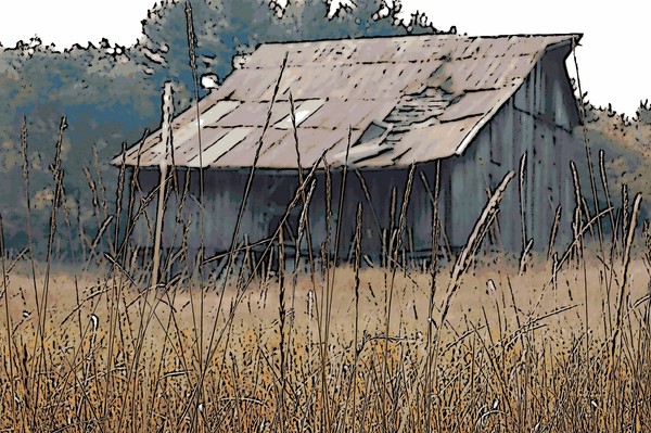 Old OLd shed