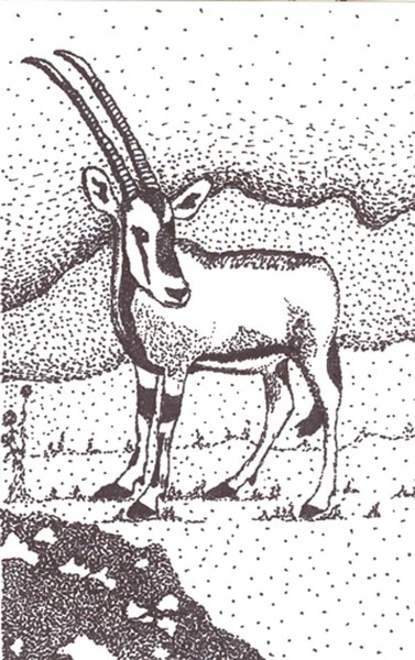 Gazelle Stiple Dot