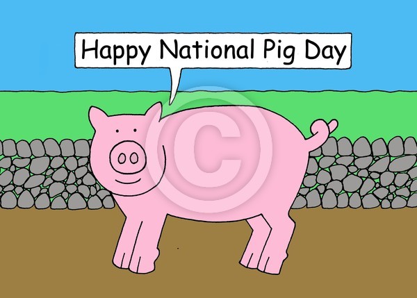 National Pig Day March 1st