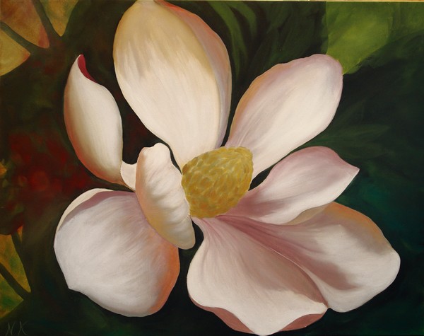 Magnolia