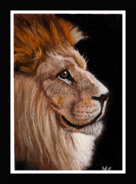 NC ART ACEO orig pastel lion face