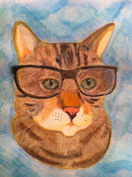 Nearsighted cat