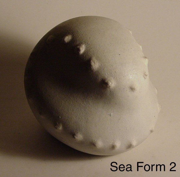 Sea Form #2