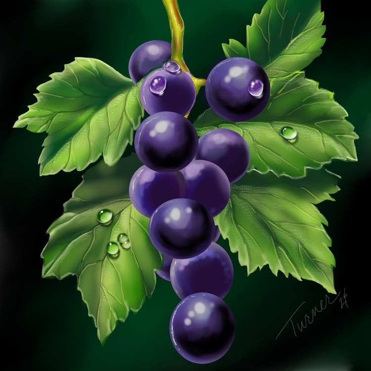 A few grapes