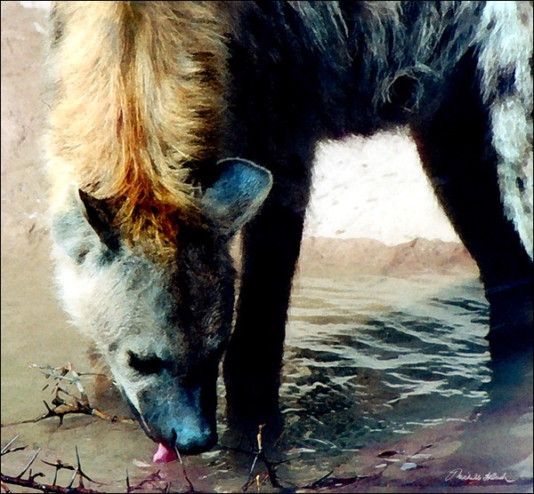 Hyena No. 1
