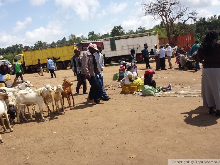 Kalundu Goat Market