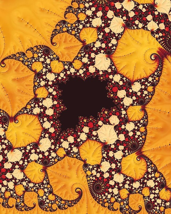 ????Autumn ????
“A picture is a poem without words”
-Horace
#autumn #yellowleaves #mandelbrot #fr