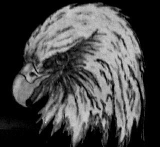 Eagle Head